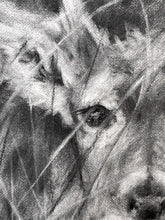 Load image into Gallery viewer, Deer Artwork |Original Charcoal On Paper | Wildlife Art |  Gallery Wall Art | White-Tailed Deer Drawing | Deer Antlers Drawing