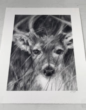 Load image into Gallery viewer, Deer Artwork |Original Charcoal On Paper | Wildlife Art |  Gallery Wall Art | White-Tailed Deer Drawing | Deer Antlers Drawing