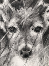 Load image into Gallery viewer, Deer Artwork |Original Charcoal On Paper | Wildlife Art |  Gallery Wall Art | White-Tailed Deer Drawing | Deer Antlers Drawing