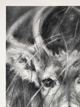Load image into Gallery viewer, Deer Artwork |Original Charcoal On Paper | Wildlife Art |  Gallery Wall Art | White-Tailed Deer Drawing | Deer Antlers Drawing