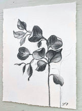 Load image into Gallery viewer, Branch Drawing Wall Art | Botanical Charcoal Drawing | Charcoal Drawing On Paper | Gallery Wall Art | Eucalyptus Drawing | Spa Wall Decor