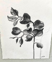 Load image into Gallery viewer, Branch Drawing Wall Art | Botanical Charcoal Drawing | Charcoal Drawing On Paper | Gallery Wall Art | Eucalyptus Drawing | Spa Wall Decor