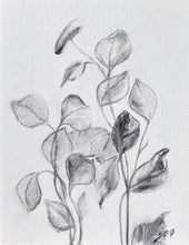 Load image into Gallery viewer, Charcoal Original On Paper | Branch Drawing Wall Art | Whispering Leaves | Gallery Wall Art | Eucalyptus Drawing | Spa Wall Decor