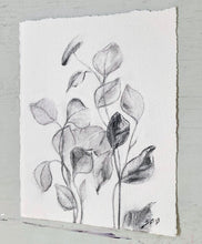 Load image into Gallery viewer, Charcoal Original On Paper | Branch Drawing Wall Art | Whispering Leaves | Gallery Wall Art | Eucalyptus Drawing | Spa Wall Decor