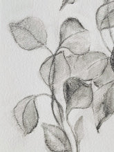Load image into Gallery viewer, Charcoal Original On Paper | Branch Drawing Wall Art | Whispering Leaves | Gallery Wall Art | Eucalyptus Drawing | Spa Wall Decor