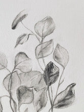 Load image into Gallery viewer, Charcoal Original On Paper | Branch Drawing Wall Art | Whispering Leaves | Gallery Wall Art | Eucalyptus Drawing | Spa Wall Decor
