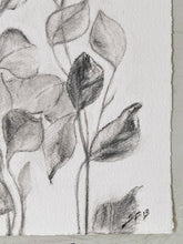 Load image into Gallery viewer, Charcoal Original On Paper | Branch Drawing Wall Art | Whispering Leaves | Gallery Wall Art | Eucalyptus Drawing | Spa Wall Decor