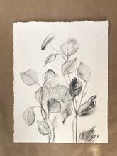 Load image into Gallery viewer, Charcoal Original On Paper | Branch Drawing Wall Art | Whispering Leaves | Gallery Wall Art | Eucalyptus Drawing | Spa Wall Decor