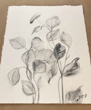 Load image into Gallery viewer, Charcoal Original On Paper | Branch Drawing Wall Art | Whispering Leaves | Gallery Wall Art | Eucalyptus Drawing | Spa Wall Decor