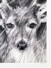 Load image into Gallery viewer, Deer Artwork |Original Charcoal On Paper | Wildlife Art |  Gallery Wall Art | White-Tailed Deer Drawing | Deer Antlers Drawing