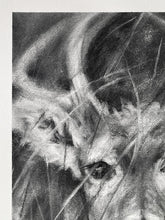 Load image into Gallery viewer, Deer Artwork |Original Charcoal On Paper | Wildlife Art |  Gallery Wall Art | White-Tailed Deer Drawing | Deer Antlers Drawing