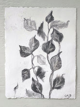 Load image into Gallery viewer, Botanical Charcoal Drawing | Japandi Home Decor | Charcoal Drawing On Paper | Gallery Wall Art | Eucalyptus Drawing | Spa Wall Decor