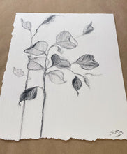 Load image into Gallery viewer, Branch Drawing Wall Art | Botanical Charcoal Drawing | Charcoal Drawing On Paper | Gallery Wall Art | Eucalyptus Drawing | Spa Wall Decor