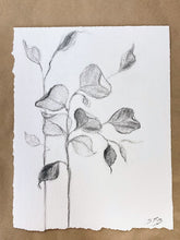 Load image into Gallery viewer, Branch Drawing Wall Art | Botanical Charcoal Drawing | Charcoal Drawing On Paper | Gallery Wall Art | Eucalyptus Drawing | Spa Wall Decor