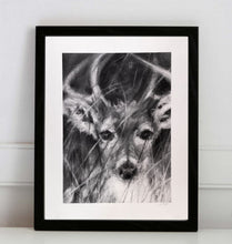 Load image into Gallery viewer, Deer Artwork |Original Charcoal On Paper | Wildlife Art |  Gallery Wall Art | White-Tailed Deer Drawing | Deer Antlers Drawing