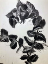 Load image into Gallery viewer, Art Original Charcoal Drawing Abstract botanical on paper with gold leaf