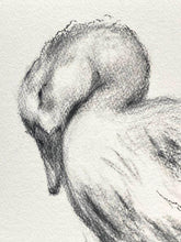 Load image into Gallery viewer, Baby Room Decor | Charcoal Wall Art | Duck Lover Gift | Gallery Wall Art | Vintage Style Charcoal Drawing | Sleeping Duck Art