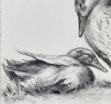 Load image into Gallery viewer, Feathered Flock Art | Charcoal Wall Art | Duck Lover Gift | Gallery Wall Art | Vintage Style Charcoal Drawing | Mom and Baby Duck Drawing