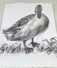 Load image into Gallery viewer, Duck Wall Art | Charcoal Drawing | Gallery Wall Art | Fanciful Art Drawing | Modern Farmhouse | Vintage Style Duck Art | Housewarming gift