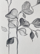Load image into Gallery viewer, Branch Drawing Wall Art | Botanical Charcoal Drawing | Charcoal Drawing On Paper | Gallery Wall Art | Eucalyptus Drawing | Spa Wall Decor