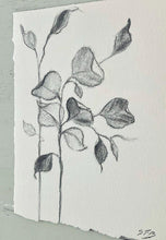 Load image into Gallery viewer, Branch Drawing Wall Art | Botanical Charcoal Drawing | Charcoal Drawing On Paper | Gallery Wall Art | Eucalyptus Drawing | Spa Wall Decor