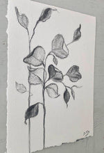 Load image into Gallery viewer, Branch Drawing Wall Art | Botanical Charcoal Drawing | Charcoal Drawing On Paper | Gallery Wall Art | Eucalyptus Drawing | Spa Wall Decor