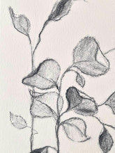 Load image into Gallery viewer, Branch Drawing Wall Art | Botanical Charcoal Drawing | Charcoal Drawing On Paper | Gallery Wall Art | Eucalyptus Drawing | Spa Wall Decor