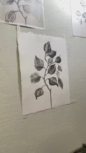 Load and play video in Gallery viewer, Branch Drawing Wall Art | Botanical Charcoal Drawing | Charcoal Drawing On Paper | Gallery Wall Art | Eucalyptus Drawing | Spa Wall Decor