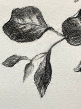 Load image into Gallery viewer, Branch Drawing Wall Art | Botanical Charcoal Drawing | Charcoal Drawing On Paper | Gallery Wall Art | Eucalyptus Drawing | Spa Wall Decor