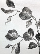 Load image into Gallery viewer, Branch Drawing Wall Art | Botanical Charcoal Drawing | Charcoal Drawing On Paper | Gallery Wall Art | Eucalyptus Drawing | Spa Wall Decor