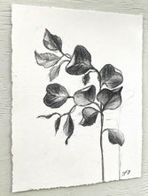 Load image into Gallery viewer, Branch Drawing Wall Art | Botanical Charcoal Drawing | Charcoal Drawing On Paper | Gallery Wall Art | Eucalyptus Drawing | Spa Wall Decor
