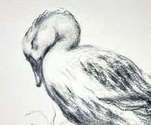 Load image into Gallery viewer, Duck Giclee Wall Art | Charcoal Drawing Print | Gallery Wall Art | Whimsical Art Drawing | Modern Farmhouse | Vintage Style Duck Art
