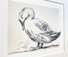 Load image into Gallery viewer, Duck Giclee Wall Art | Charcoal Drawing Print | Gallery Wall Art | Whimsical Art Drawing | Modern Farmhouse | Vintage Style Duck Art
