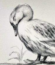 Load image into Gallery viewer, Duck Giclee Wall Art | Charcoal Drawing Print | Gallery Wall Art | Whimsical Art Drawing | Modern Farmhouse | Vintage Style Duck Art
