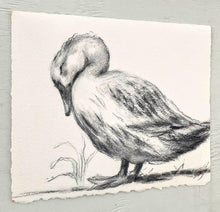 Load image into Gallery viewer, Baby Room Decor | Charcoal Wall Art | Duck Lover Gift | Gallery Wall Art | Vintage Style Charcoal Drawing | Sleeping Duck Art
