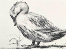 Load image into Gallery viewer, Baby Room Decor | Charcoal Wall Art | Duck Lover Gift | Gallery Wall Art | Vintage Style Charcoal Drawing | Sleeping Duck Art
