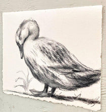 Load image into Gallery viewer, Baby Room Decor | Charcoal Wall Art | Duck Lover Gift | Gallery Wall Art | Vintage Style Charcoal Drawing | Sleeping Duck Art
