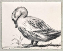 Load image into Gallery viewer, Baby Room Decor | Charcoal Wall Art | Duck Lover Gift | Gallery Wall Art | Vintage Style Charcoal Drawing | Sleeping Duck Art
