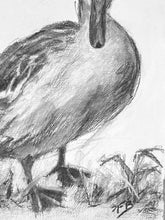 Load image into Gallery viewer, Duck Wall Art | Charcoal Drawing | Gallery Wall Art | Fanciful Art Drawing | Modern Farmhouse | Vintage Style Duck Art | Housewarming gift
