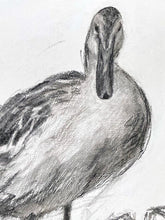 Load image into Gallery viewer, Duck Wall Art | Charcoal Drawing | Gallery Wall Art | Fanciful Art Drawing | Modern Farmhouse | Vintage Style Duck Art | Housewarming gift
