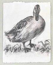 Load image into Gallery viewer, Duck Wall Art | Charcoal Drawing | Gallery Wall Art | Fanciful Art Drawing | Modern Farmhouse | Vintage Style Duck Art | Housewarming gift
