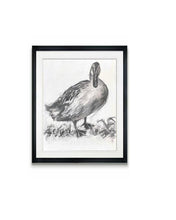 Load image into Gallery viewer, Duck Wall Art, Charcoal Drawing, Gallery Wall Art, Fanciful Art Drawing, Modern Farmhouse, Vintage Style Duck Art, Housewarming gift
