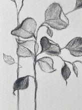 Load image into Gallery viewer, Branch Drawing Wall Art | Botanical Charcoal Drawing | Charcoal Drawing On Paper | Gallery Wall Art | Eucalyptus Drawing | Spa Wall Decor
