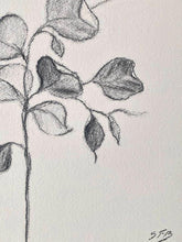 Load image into Gallery viewer, Branch Drawing Wall Art | Botanical Charcoal Drawing | Charcoal Drawing On Paper | Gallery Wall Art | Eucalyptus Drawing | Spa Wall Decor
