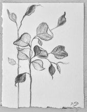 Load image into Gallery viewer, Branch Drawing Wall Art | Botanical Charcoal Drawing | Charcoal Drawing On Paper | Gallery Wall Art | Eucalyptus Drawing | Spa Wall Decor
