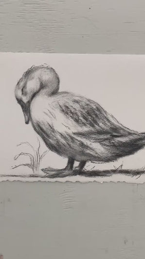 Baby Room Decor | Charcoal Wall Art | Duck Lover Gift | Gallery Wall Art | Vintage Style Charcoal Drawing | Sleeping Duck Art