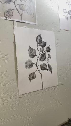 Branch Drawing Wall Art | Botanical Charcoal Drawing | Charcoal Drawing On Paper | Gallery Wall Art | Eucalyptus Drawing | Spa Wall Decor